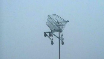 Bagaimana caranya trolly tersebut bisa nyangkut di atas sana? Foto: Bored Panda