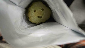 Gak tega ya mau dimakan kalau disenyumin gini. Foto: Bored Panda