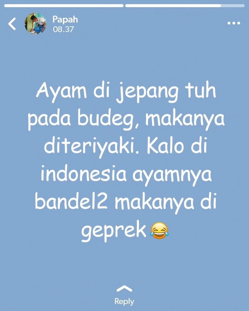 Kumpulan Status WA Kocak