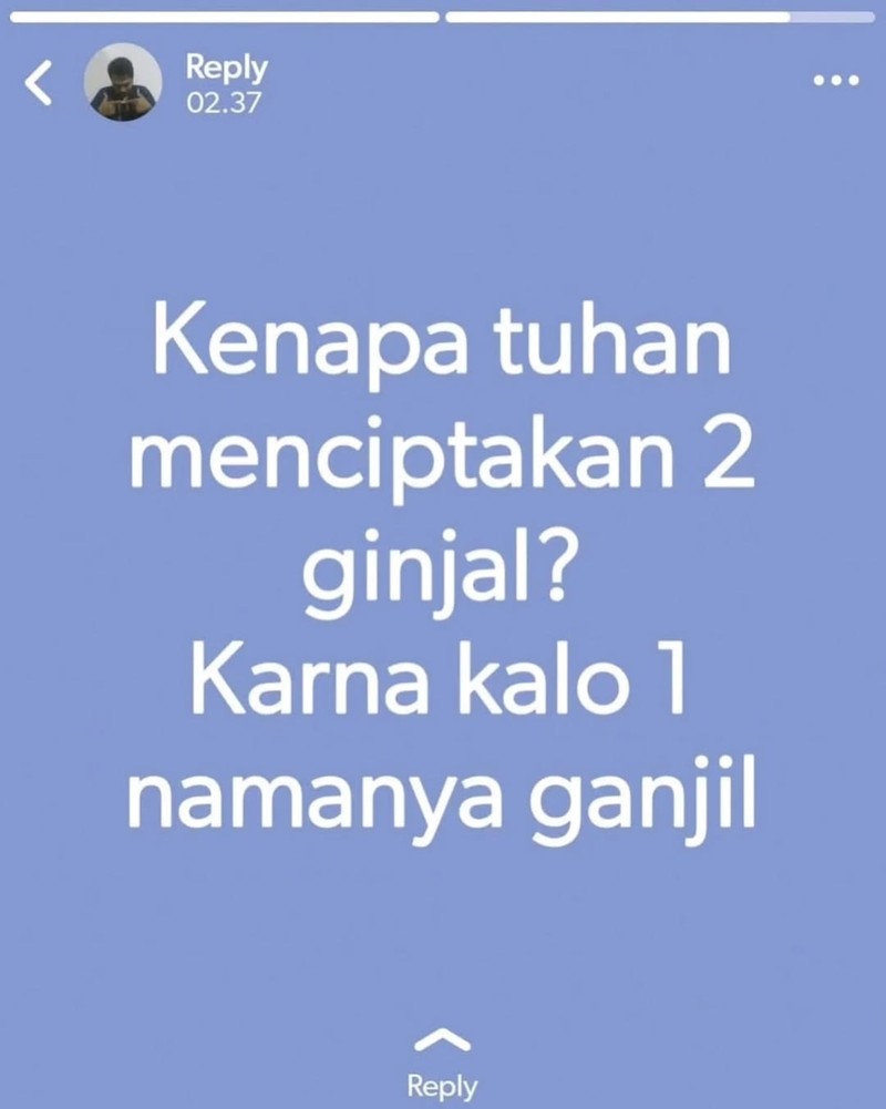 Kumpulan Status WA Kocak