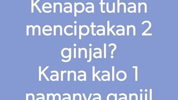 Penjelasan soal ginjal ini sukses bikin netizen antara ngakak dan mempertanyakan logika kehidupan. Foto: instagram/@giladiskonn