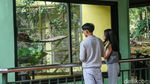 Libur Panjang di Ragunan, Wisata Murah Meriah Bareng Keluarga