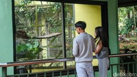 Sementara pada 15 Mei jumlah pengunjung mencapai 16.427 orang. Hingga pukul 10.15 WIB, Sabtu (16/5/2026), jumlah pengunjung tercatat sebanyak 14.926 orang.