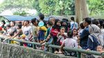 Libur Panjang di Ragunan, Wisata Murah Meriah Bareng Keluarga