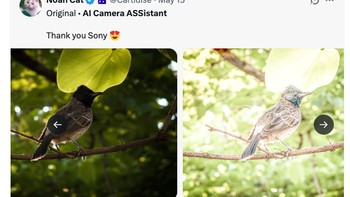 Netizen membandingkan foto burung asli dengan versi AI Camera Assistant yang dianggap overexposed hingga detail objek nyaris hilang. Postingan ini viral dan dibanjiri komentar sarkastik. Foto: X.com