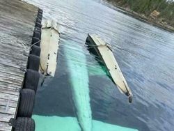 Nyesek! Momen Apes Ini Terabadikan Kamera, Kerugiannya Fantastis