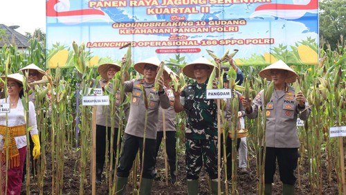 Panen jagung dan peresmian SPPG II Polres Gianyar di Banjar Padang Sigi, Desa Sanding, Kecamatan Tampaksiring, Sabtu (16/5/2026). (Dok Polres Gianyar).