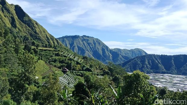 Pemandangan bukit dari Mountana Garden, Sembalun, Lombok Timur, NTB, Sabtu (16/5/2026). foto (Sanusi Ardi W/detikBali)