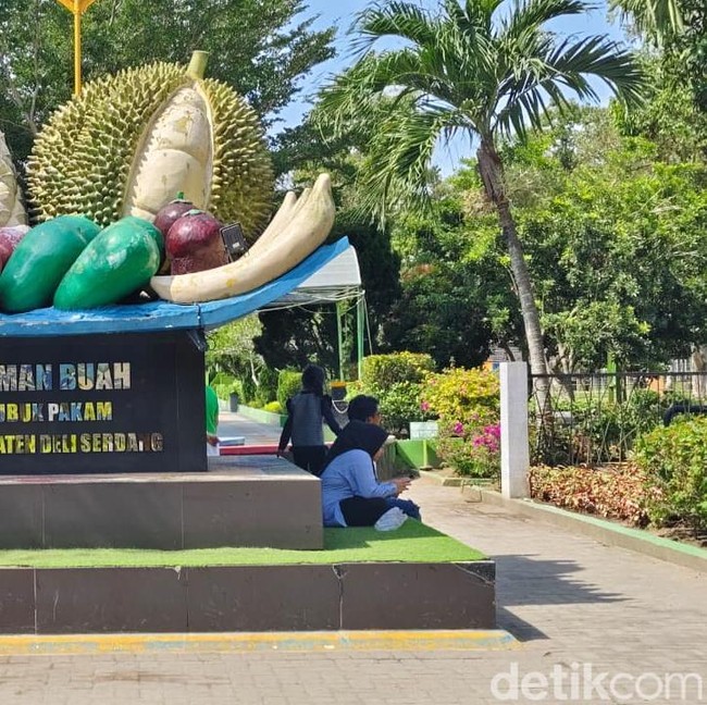 Modal Uang Parkir Bisa Bermain Sepuasnya di Taman Buah Deli Serdang