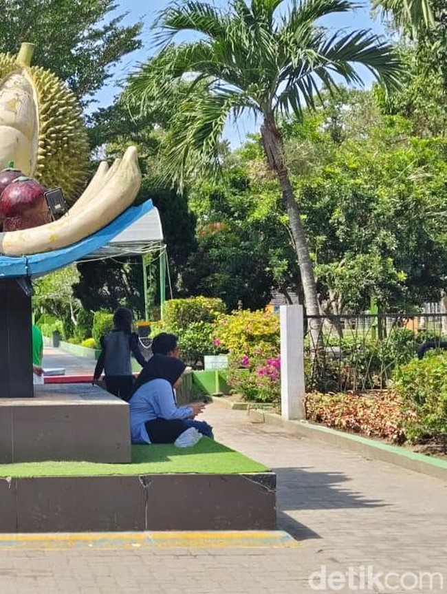 Modal Uang Parkir Bisa Bermain Sepuasnya di Taman Buah Deli Serdang