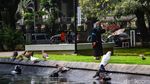 Warga Asyik Olahraga dan Piknik di Lapangan Banteng