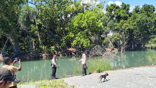 Tim SAR gabungan mencari korban diterkam buaya di Muara Naus, Desa Soliu, Kecamatan Amfoang Barat Laut, Kupang, NTT, Minggu (17/5/2026).