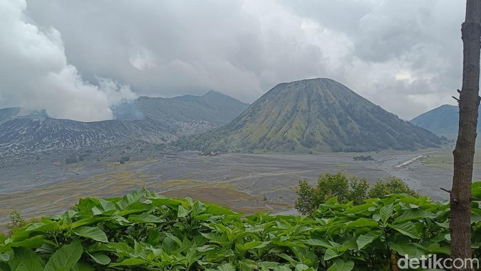 Gunung Bromo ramai dikunjungi wisatawan