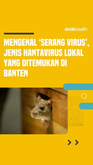 Video Jenis Hantavirus Lokal yang Ditemukan di Banten