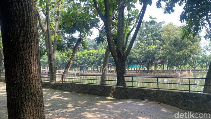 Lokasi rusa di Depok. (Devi/detikcom)