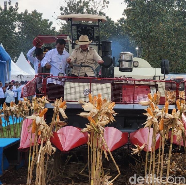 Momen Presiden Prabowo Subianto saat Panen Raya Jagung Serentak di Tuban