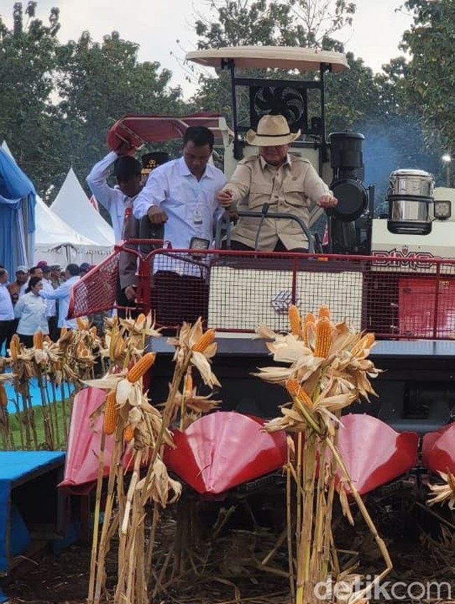 Momen Presiden Prabowo Subianto saat Panen Raya Jagung Serentak di Tuban