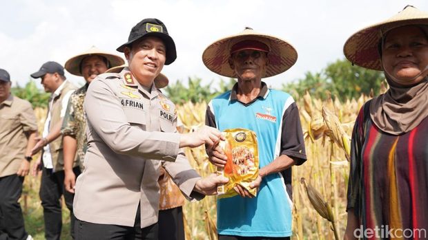 Panen raya jagung Polres Bojonegoro Kapolres Bojonegoro AKBP Afrian Satya Permadi bersama petani mengikuti Panen Raya Jagung Serentak Kuartal II Tahun 2026 secara virtual di Desa Trucuk, Bojonegoro.