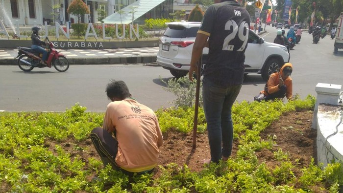 Perbaikan taman Surabaya usai Vaganza 2026