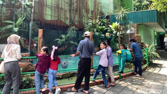 Libur panjang akhir pekan dimanfaatkan ribuan wisatawan untuk berkunjung ke Kebun Binatang Surabaya, Minggu (17/5/2026).