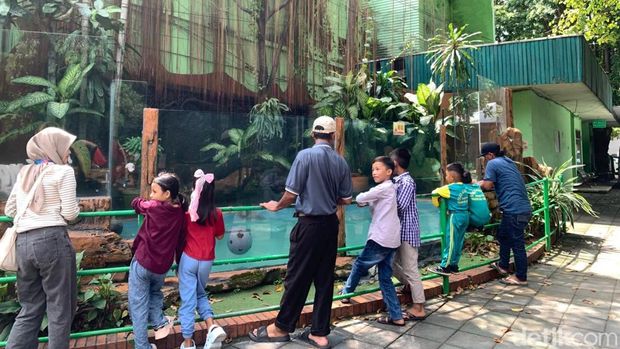 Suasana Kebun Binatang Surabaya Libur panjang akhir pekan dimanfaatkan ribuan wisatawan untuk berkunjung ke Kebun Binatang Surabaya, Minggu (17/5/2026). Pengunjung memadati sejumlah area favorit sejak pagi hari.