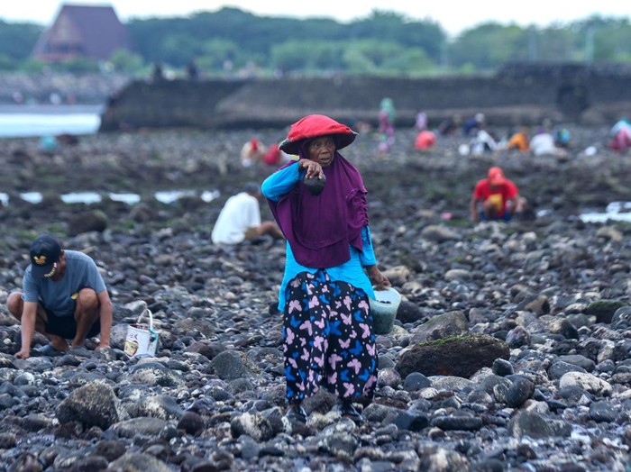 Warga mencari kerang remisi di Pantai Cacalan, Banyuwangi, Jawa Timur, Minggu (17/5/2026). Sejumlah warga memanfaatkan surutnya air laut untuk mencari kerang sebagai sumber pendapatan tambahan yang dijual Rp50 ribu per kilogram. ANTARA FOTO/Budi Candra Setya/YU