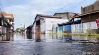 Wilayah yang terdampak rob di Kota Pasuruan antara lain Kelurahan Mandaranrejo, kawasan Pelabuhan Pasuruan, Kelurahan Tambaan, Kelurahan Ngemplakrejo, Kelurahan Panggungrejo.