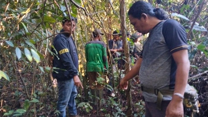 BKSDA dan polisi mengecek TKP petani diserang beruang di Musi Rawas