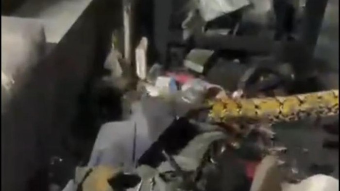 Damkar Parepare evakuasi ular piton 7 meter.