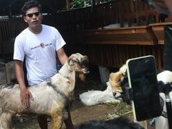 Dari Kandang ke Layar Ponsel, Live Streaming Jualan Kambing Kurban