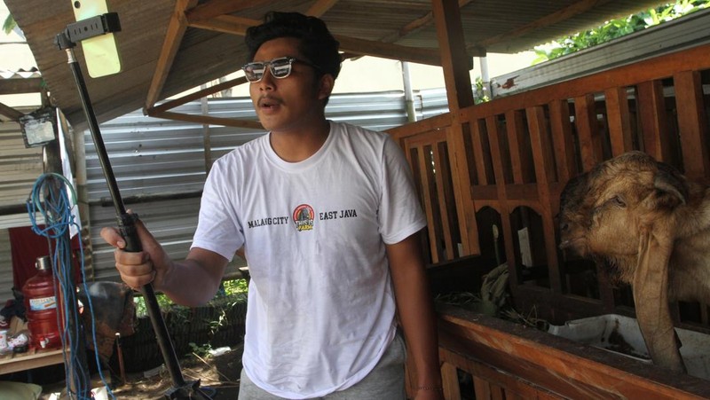 Peternak menawarkan kambing kurban melalui siaran langsung atau live streaming di peternakan This Is Farm, Malang, Jawa Timur, Senin (18/5/2026). Peternak kambing setempat memanfaatkan ruang digital berupa siaran langsung dan unggahan media sosial untuk memasarkan ternaknya sebagai hewan kurban dan mampu menjual sedikitnya 50 ekor kambing jenis Jawa Randu, Senduro, serta Peranakan Etawa ke sejumlah daerah seperti Tangerang, Surabaya maupun Sidoarjo dengan harga Rp3 juta hingga Rp9 juta per ekor. ANTARA FOTO/Ari Bowo Sucipto