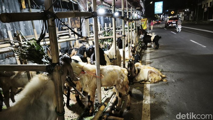 Pasar Kambing di pinggir Jalan Tentara Pelajar, Kelurahan Lamper Kidul, Kecamatan Semarang Selatan, Kota Semarang, Senin (18/5/2026).