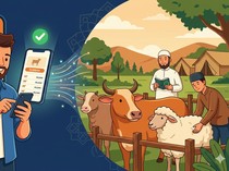 Bolehkah Kurban Lewat Aplikasi? Ini Hukum dan Tata Caranya