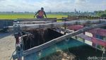 Harga Sapi di Pasar Hewan Lumajang Naik Menjelang Idul Adha