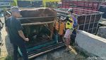 Harga Sapi di Pasar Hewan Lumajang Naik Menjelang Idul Adha