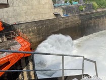 Flushing 2 Bendungan di Blitar Dimulai, Warga Cari Ikan Mabuk