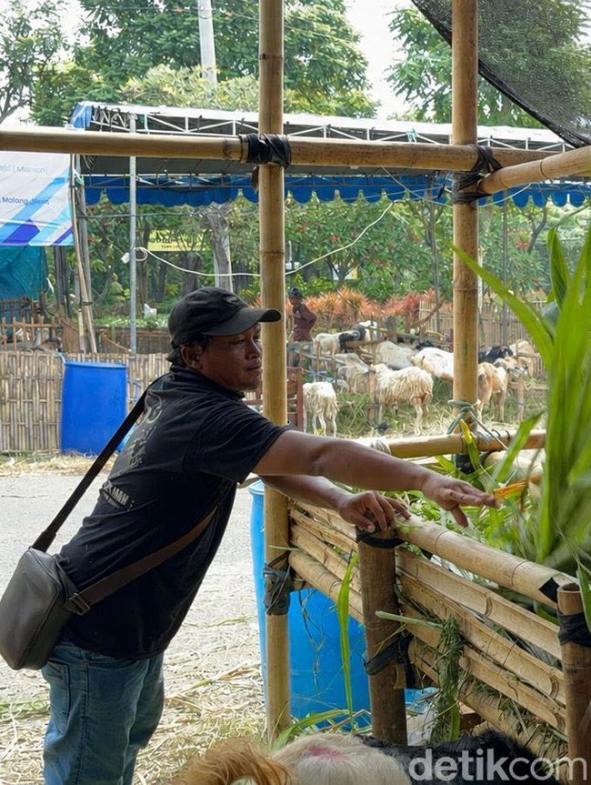 Lapak Penjual Hewan Kurban Mulai Bermunculan di Kota Surabaya