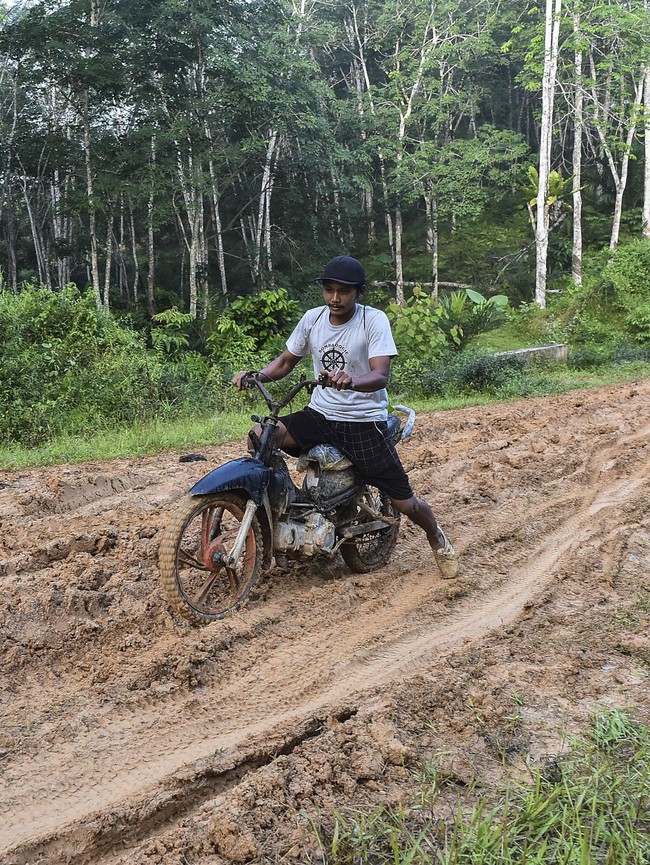 Miris! Warga Jambi Masih Berjuang Lewati Jalan Lumpur Saat Hujan