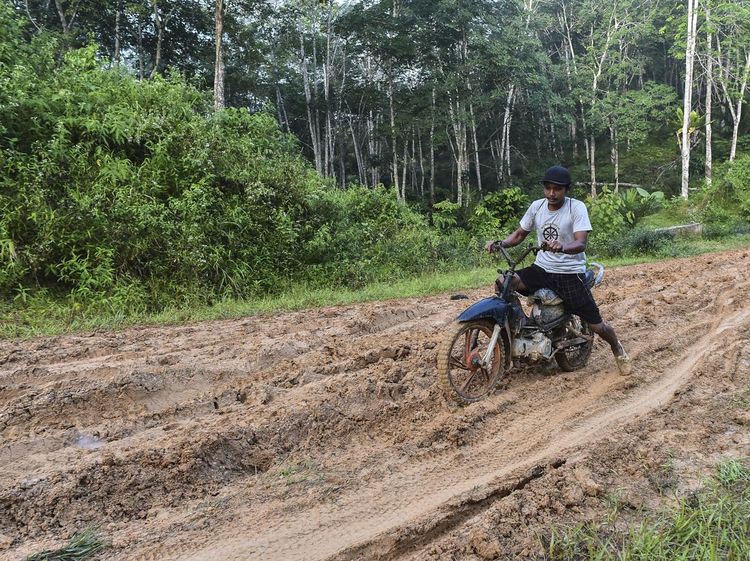 Miris! Warga Jambi Masih Berjuang Lewati Jalan Lumpur Saat Hujan