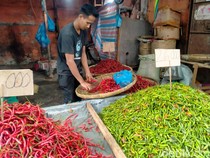 Harga Cabai Rawit-Hijau di Binjai Naik