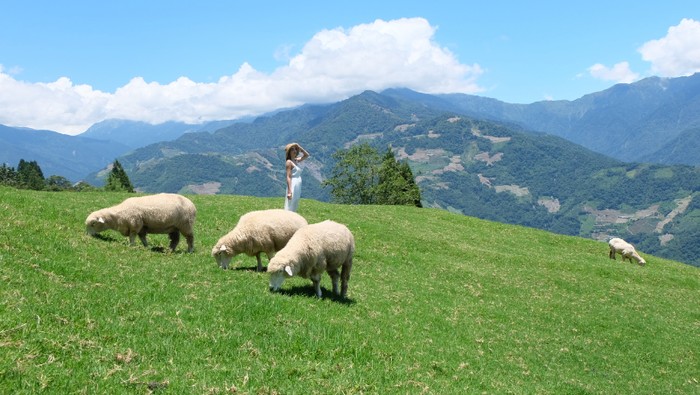 Taiwan Leisure Farm Fair