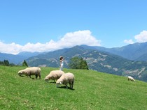 Taiwan Leisure Farm Fair 2026: Saatnya Liburan Seru ke Countryside Taiwan!