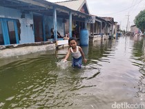 4 Desa di Pesisir Sedati Sidoarjo Terendam Banjir Rob