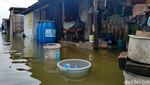 Banjir Rob Merendam Kawasan Pesisir SIdoarjo