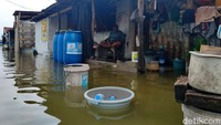 Pantauan di lokasi, banjir rob mulai naik sejak Sabtu (16/5/2026) sekitar pukul 09.00 WIB. Ketinggian air rata-rata mencapai 15 hingga 20 sentimeter, bahkan di sejumlah titik mencapai setinggi lutut orang dewasa.