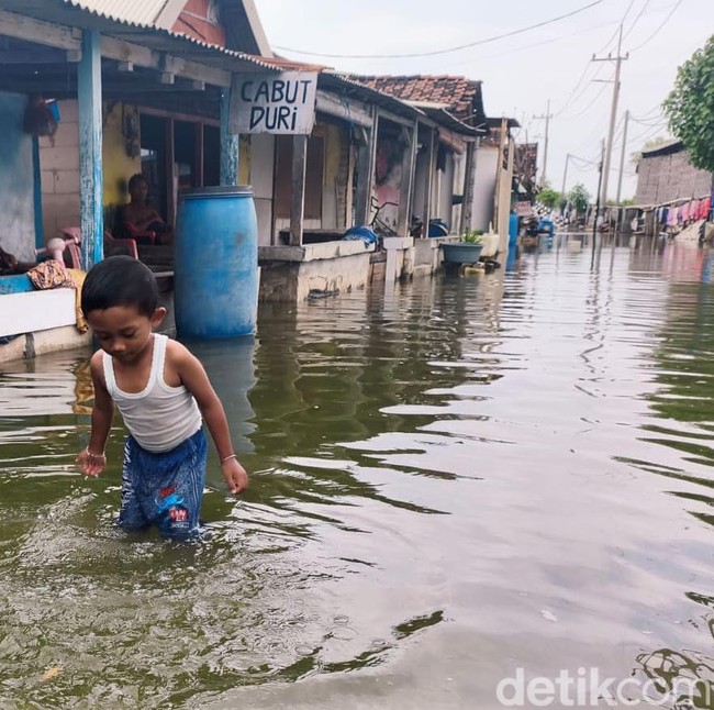 Banjir Rob Merendam Kawasan Pesisir SIdoarjo