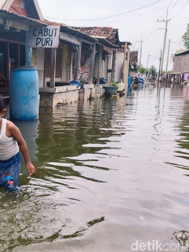 Banjir Rob Merendam Kawasan Pesisir SIdoarjo