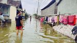 Banjir Rob Merendam Kawasan Pesisir SIdoarjo