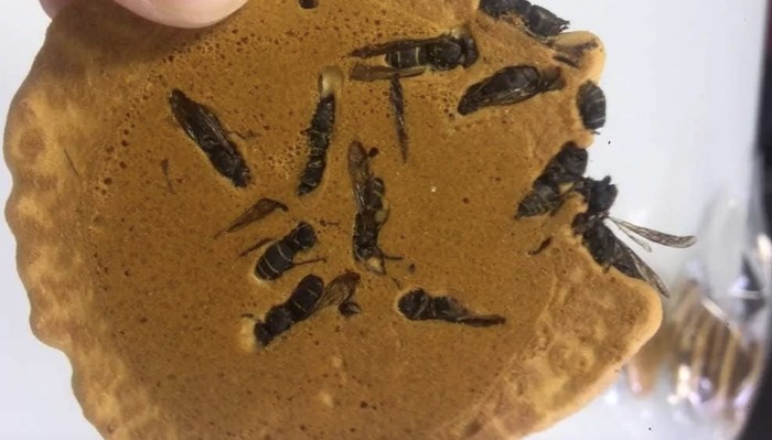 Bukan Udang atau Ikan, Kerupuk Jepang Ini Pakai Topping Tawon Kering