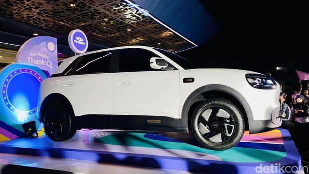 Chery Q